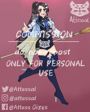 Facebook Commission.
